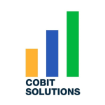 Cobit Solutions